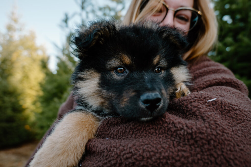 Puppy Essentials