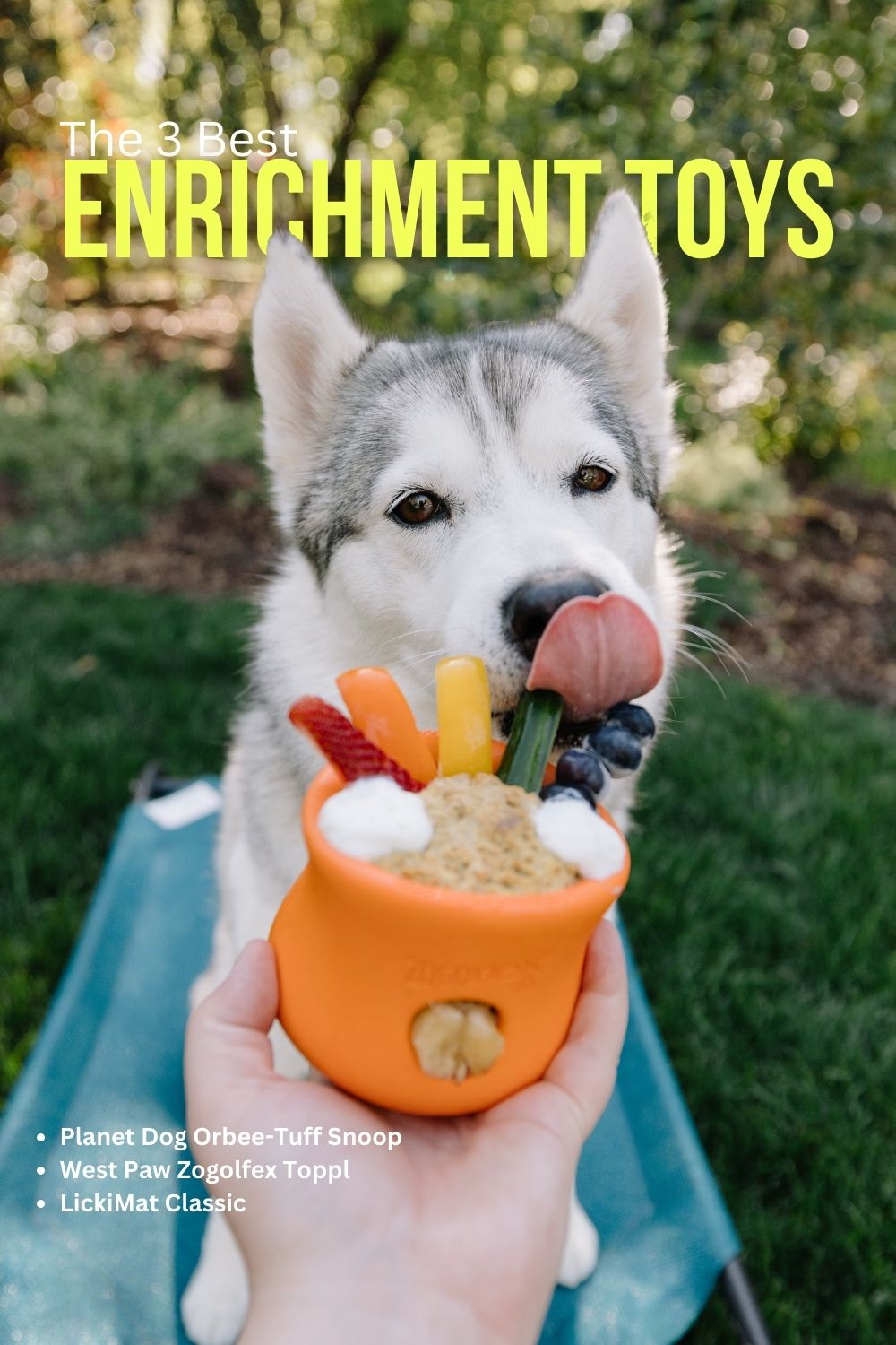 The 3 Best Enrichment Toys for Dogs!